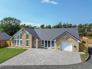 Photo 16- click for photo gallery